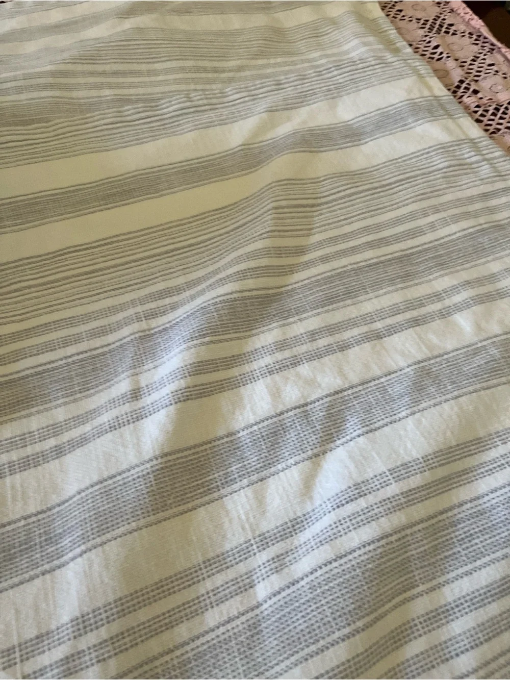 Pottery Barn pillow sham pair